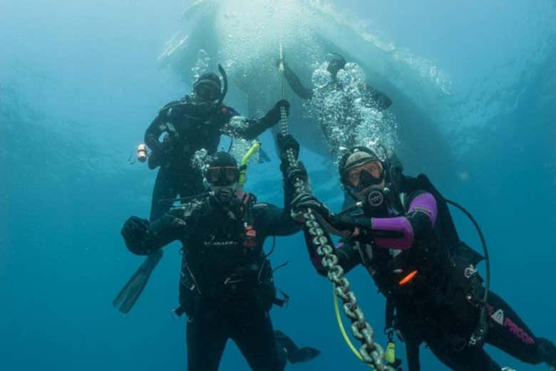 Diving in the Gulf