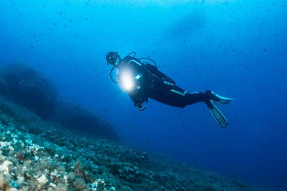 Scuba Diving in Unawatuna