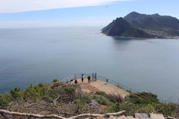 Excursión al Cabo de Buena Esperanza + Barrio malayo de Bo Kaap