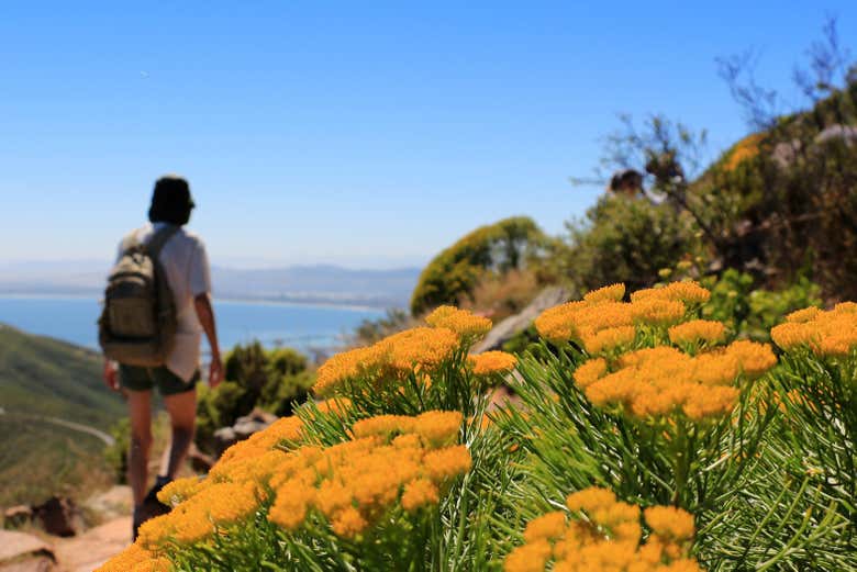 Walking along Lion's Head mountain