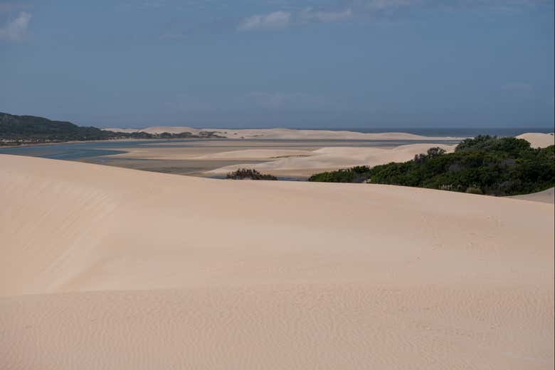 Alexandria Dunes