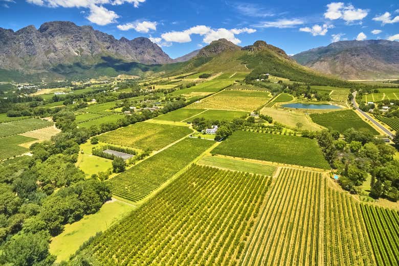 Paisajes de Franschhoek