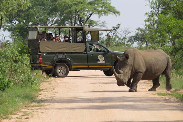 Kruger National Park 4-Day Safari