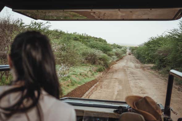 Safári pelo Parque Pilanesberg