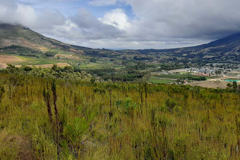 Hiking in Banhoek Conservancy