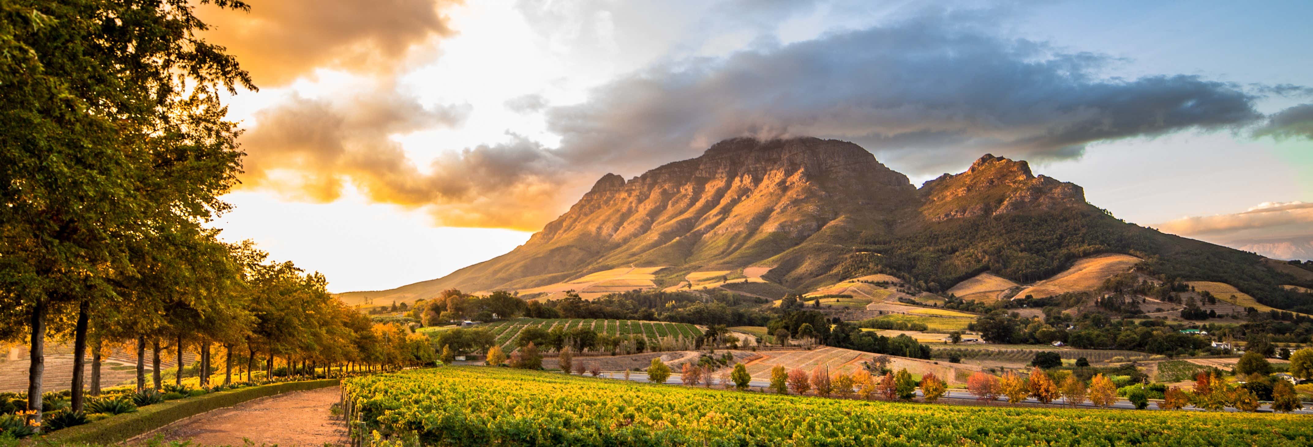 Stellenbosch