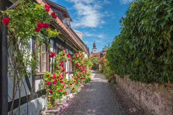 Tour por Visby para cruceros