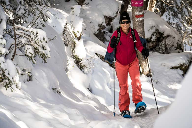 Caminando con raquetas de nieve por el entorno de Wetterhorn