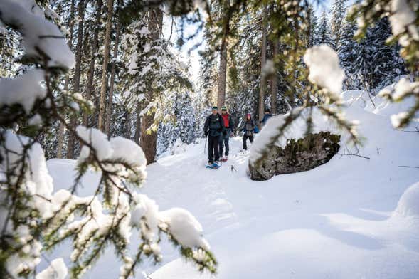 Paseo con raquetas de nieve por Wetterhorn