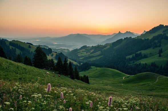 Excursão a Gruyères