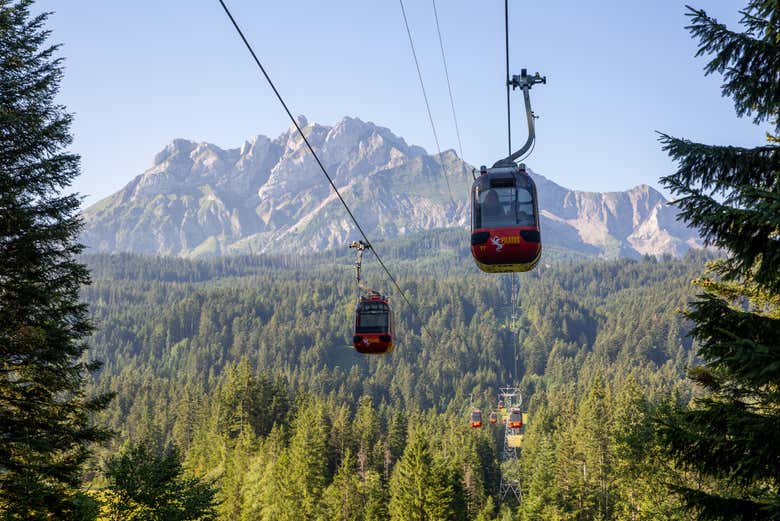 Travel by panoramic gondola