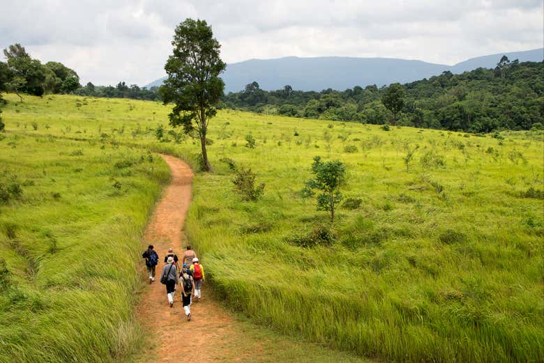 Realizando la ruta de senderismo en el Parque Nacional Khao Yai