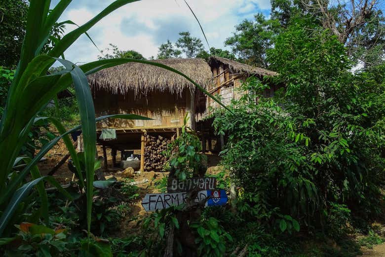 Bamboo homes in northern Thailand