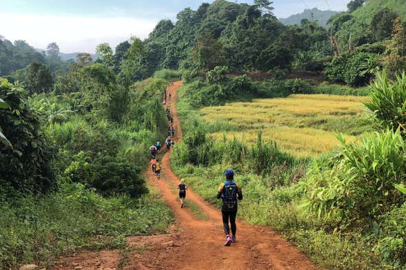 Chiang Rai Guided Trek