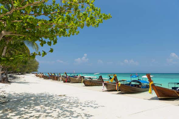 Phi Phi Island Speedboat Tour