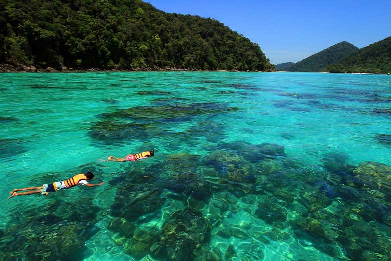 Surin Islands Speedboat Tour from Khao Lak - Book at Civitatis.com