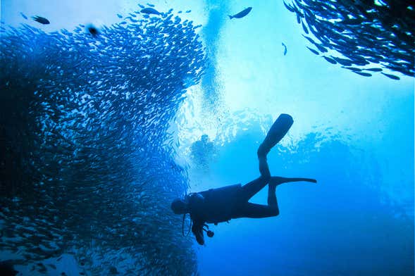 Beginners Scuba Diving Experience