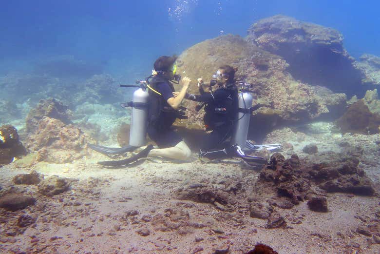 A couple diving in the waters of Phi Phi