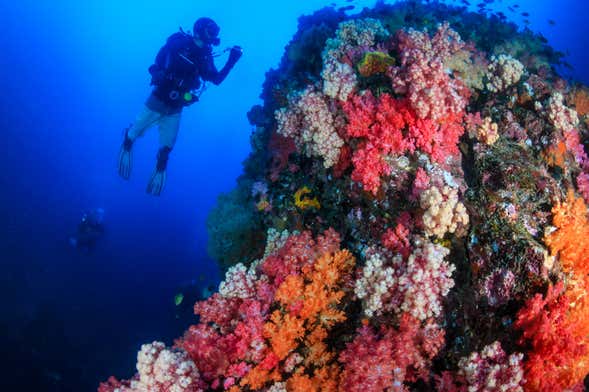 Curso de buceo PADI Open Water