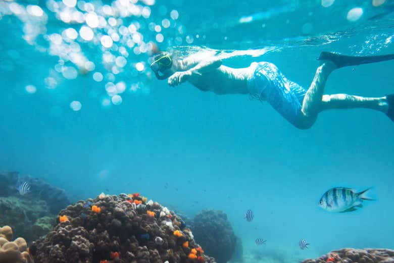 Practicando snorkel en el Parque Nacional Koh Rang