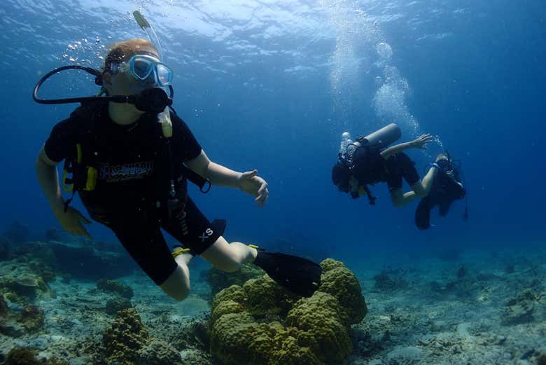 Diving in Koh Tao