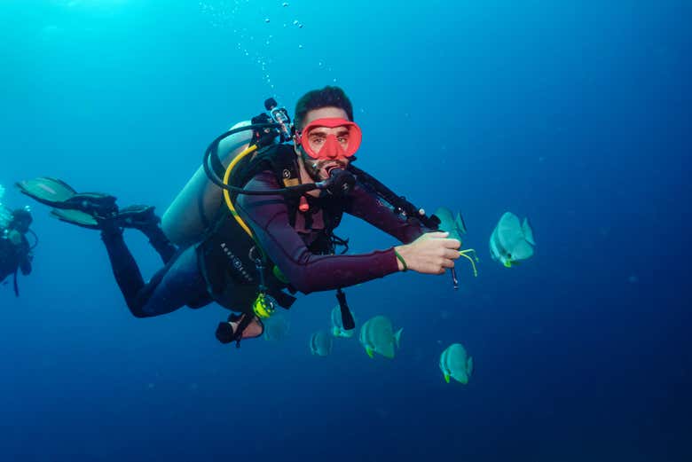 Bajo las aguas de Koh Tao