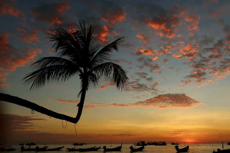 Sunset Paddle Boarding in Koh Tao - Book Online at Civitatis.com