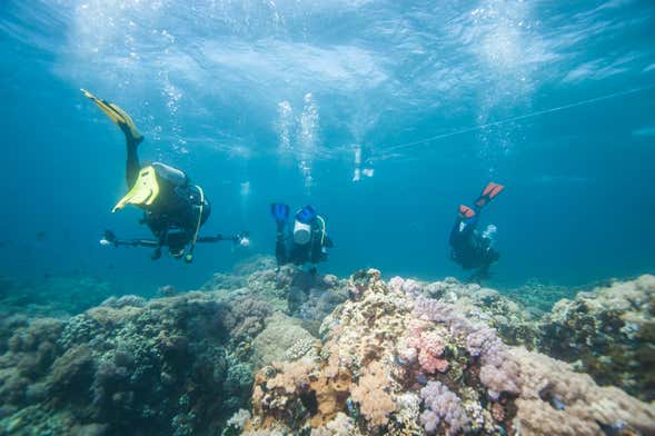 Intro to Scuba Diving in Pattaya