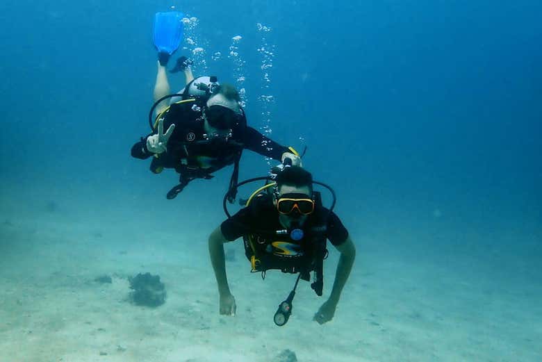 PADI Open Water Diver Course In Phuket - Book At Civitatis.com