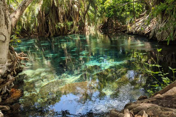 Kikuletwa Hotsprings Day Trip