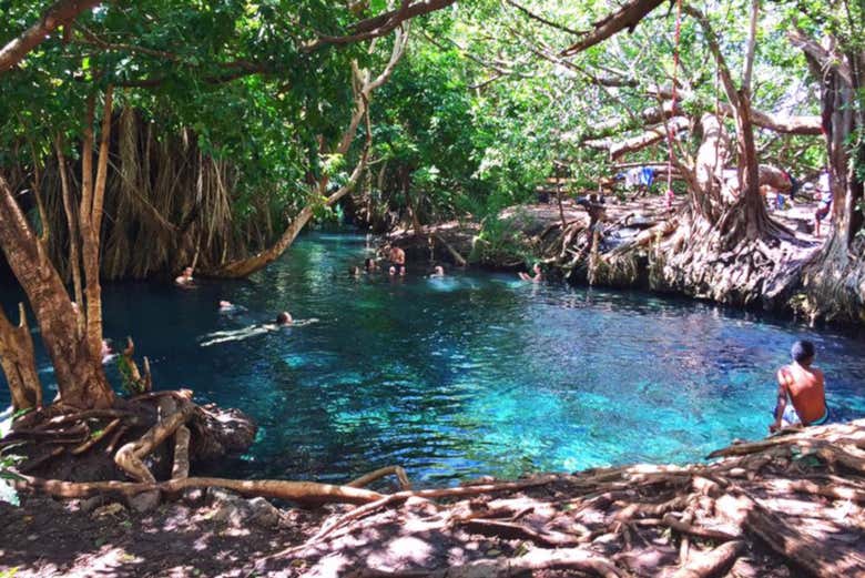 The beautiful Kikuletwa Hotsprings