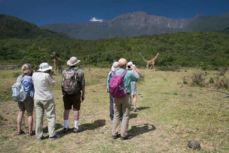 Visitantes en el Parque Nacional 