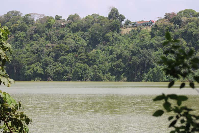 Visit lake Duluti and immerse yourself in its natural wonder