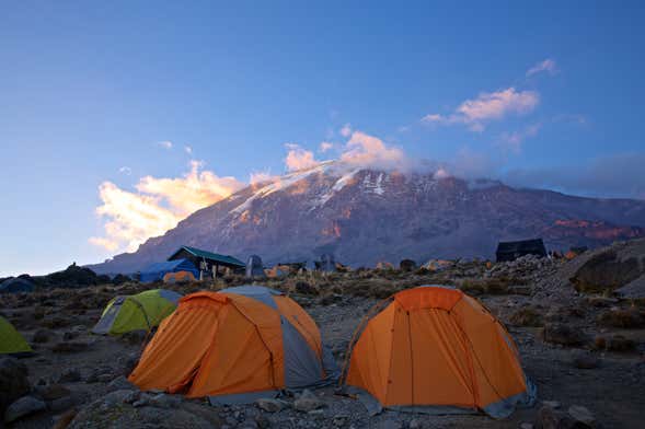 Mount Kilimanjaro Trek: 7 Days