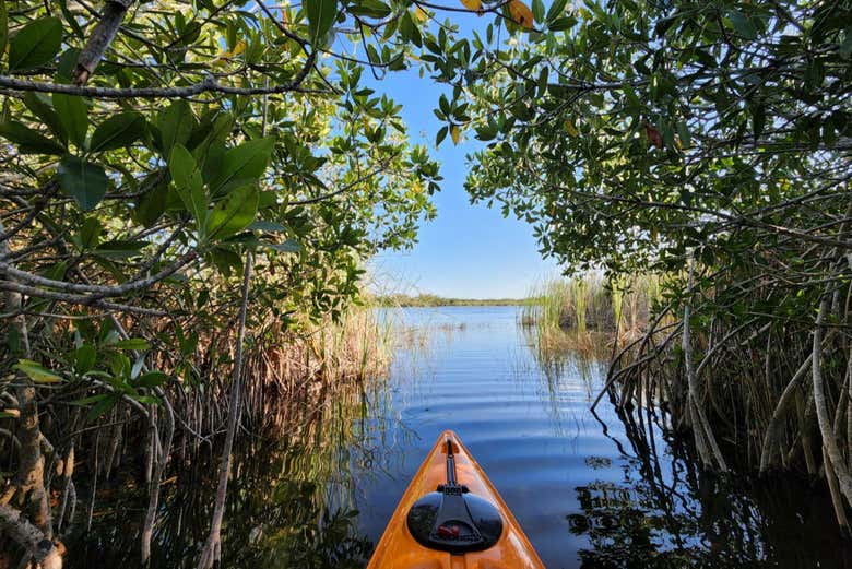 Hop in a kayak for an exciting natural adventure