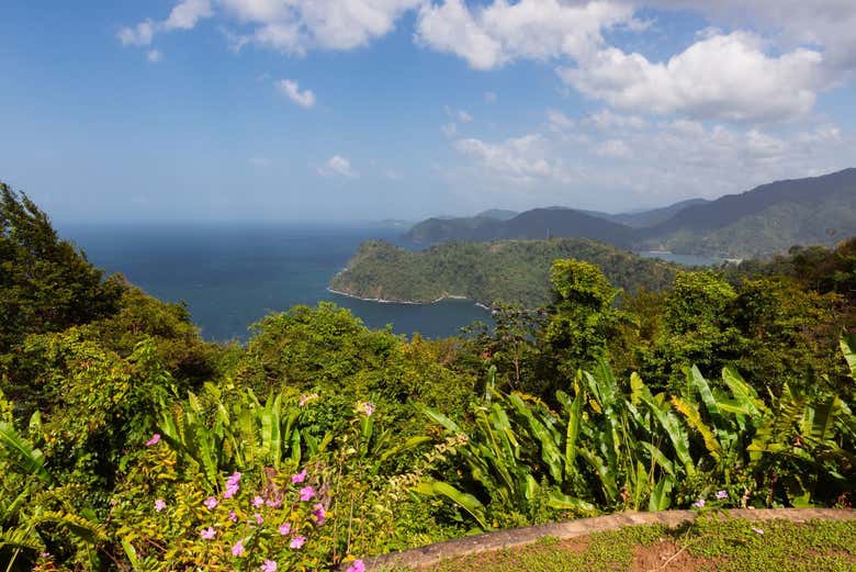 The landscape from a viewpoint