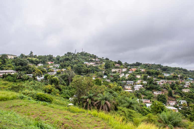 See the beautiful nature scenery in Port of Spain