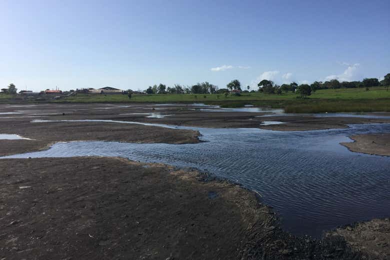 La Brea Lake