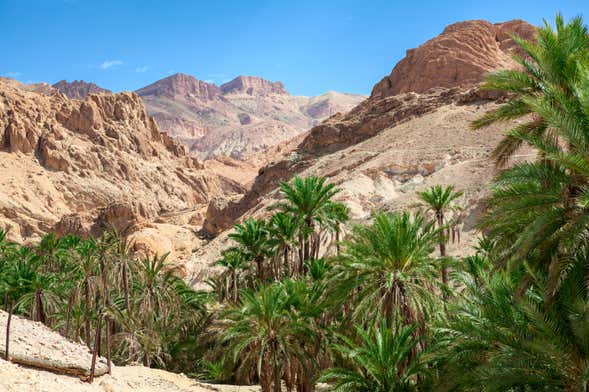 Excursión a Chebika, Tamerza y Midès