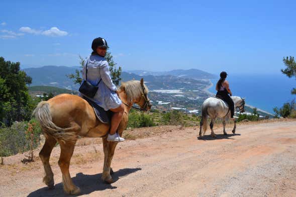 Passeio a cavalo pelas montanhas de Alanya