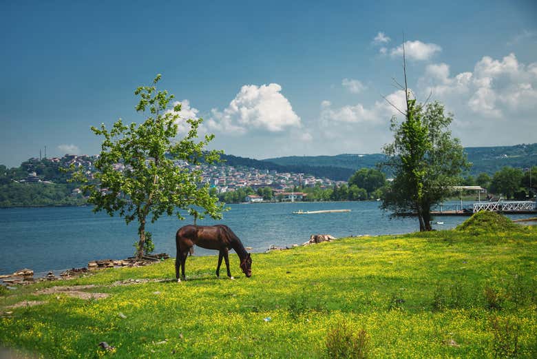 Sapanca Lake