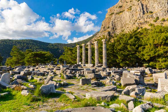 Excursión a Priene, Mileto y Dídima