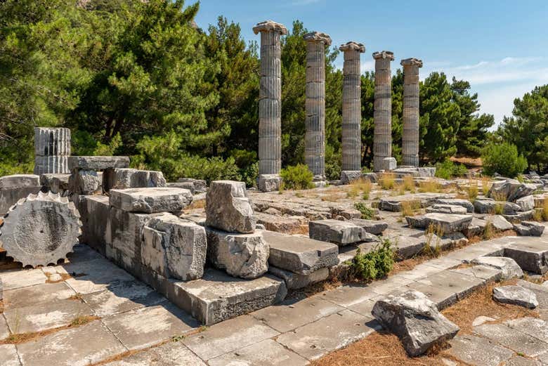 Exploring the Priene archaeological site