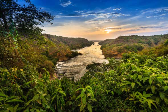 Safari de 3 días por las Cascadas Murchison