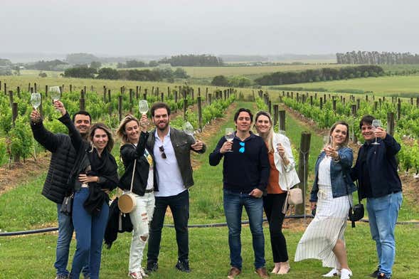 Tour privado de quesos y vinos por Punta del Este