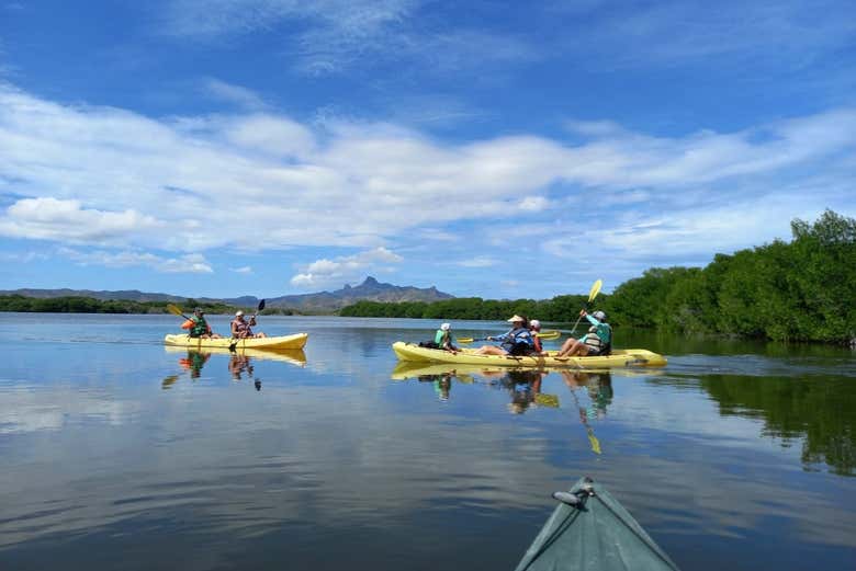 Enjoy a kayaking tour!