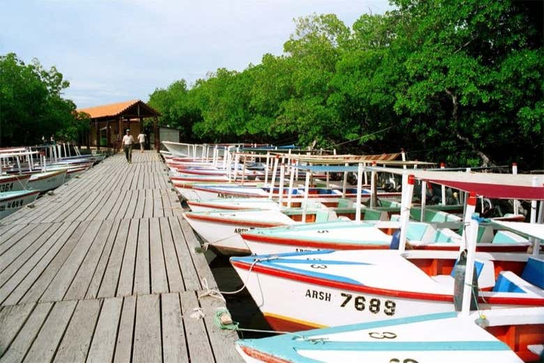 Macanao dock