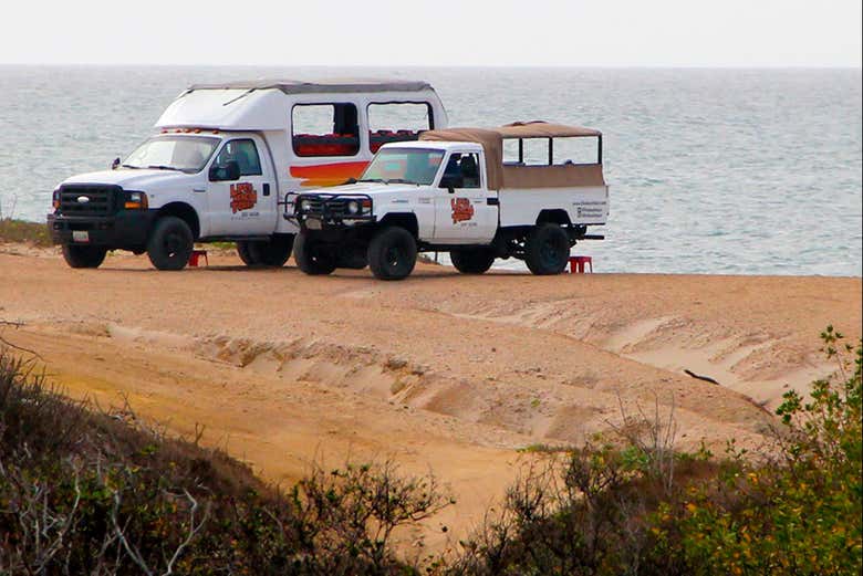 Playa de Juventud