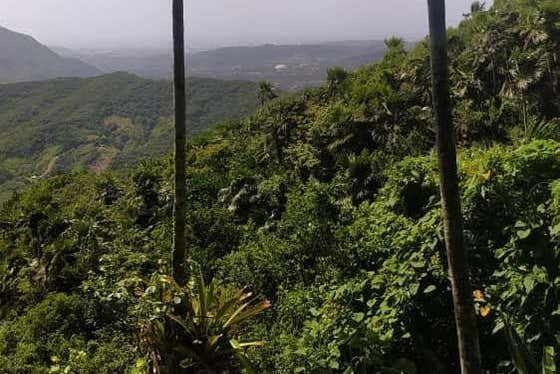 Viewpoint in Tacarigua