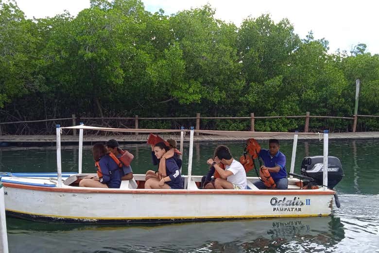 Sail along the Laguna de la Restinga